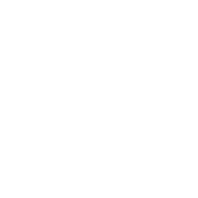 expert repair